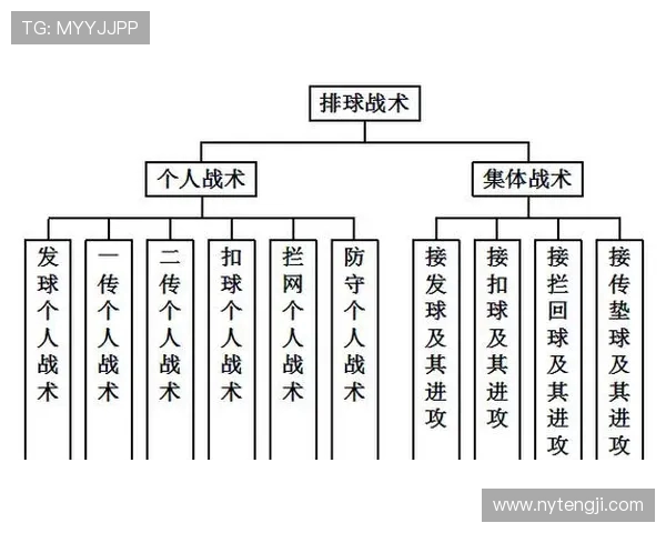 上海排球队的速度之道：聚焦技术与战术的完美结合